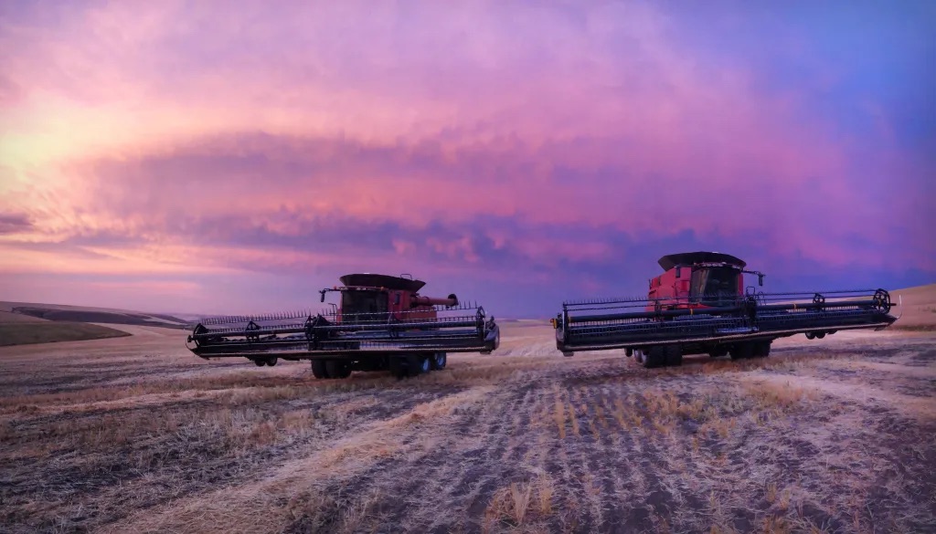 Combine at sunset